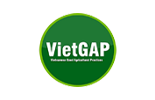 VIETGAP - ISO 22000